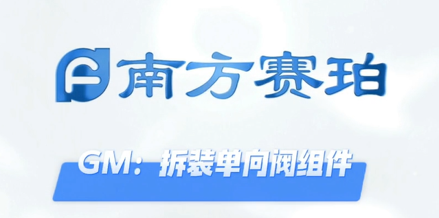 GM单向阀拆装